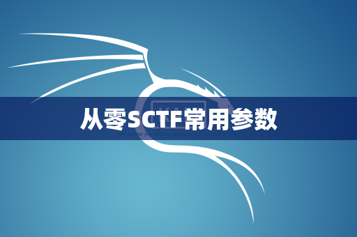 从零SCTF常用参数