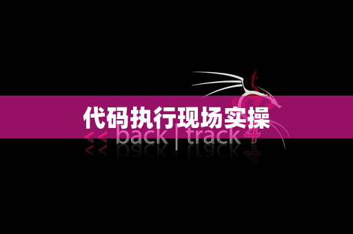 代码执行现场实操