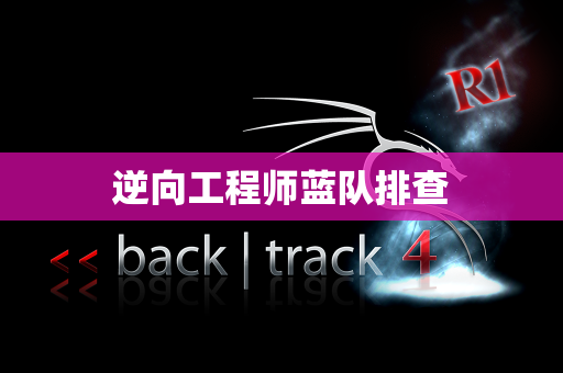 逆向工程师蓝队排查