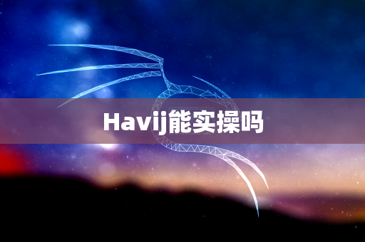 Havij能实操吗