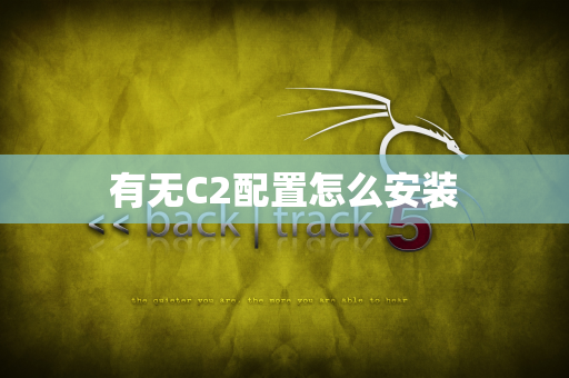 有无C2配置怎么安装