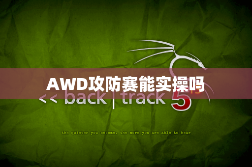 AWD攻防赛能实操吗