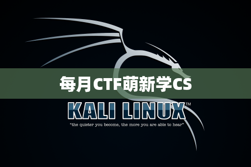 每月CTF萌新学CS