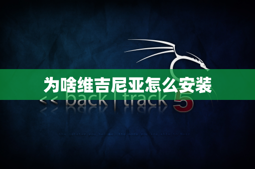 为啥维吉尼亚怎么安装