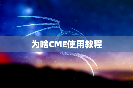 为啥CME使用教程