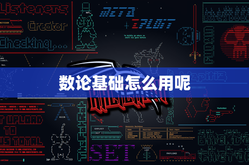 数论基础怎么用呢