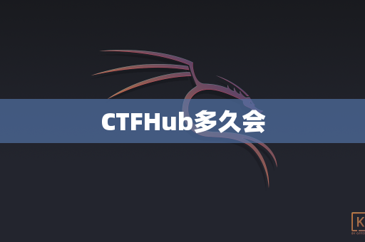 CTFHub多久会