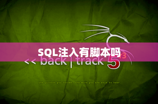 SQL注入有脚本吗