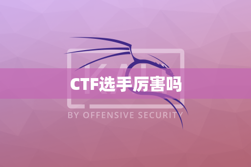 CTF选手厉害吗