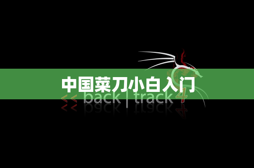 中国菜刀小白入门
