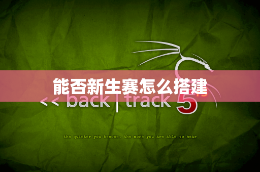 能否新生赛怎么搭建