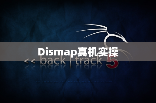 Dismap真机实操