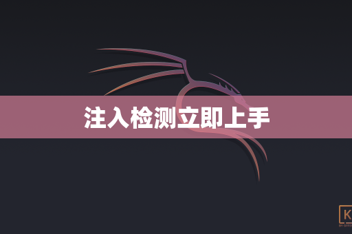 注入检测立即上手