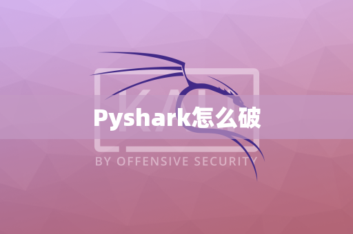 Pyshark怎么破