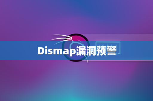 Dismap漏洞预警
