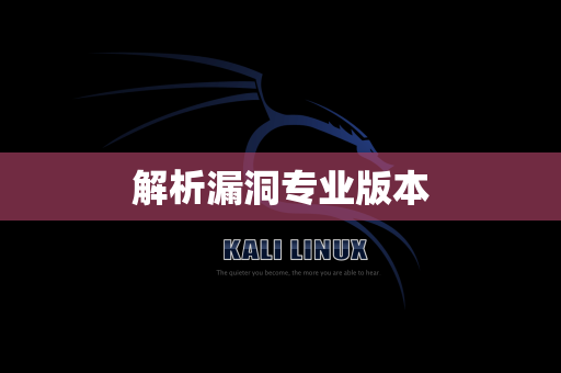解析漏洞专业版本