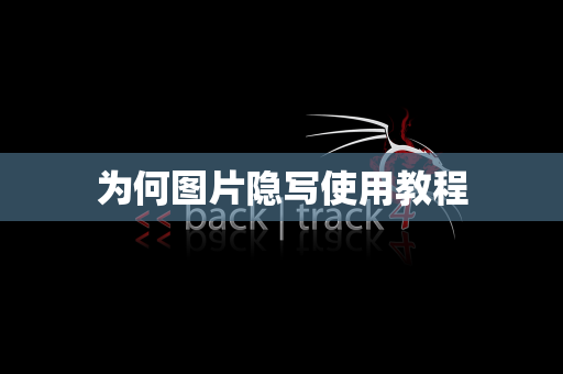 为何图片隐写使用教程