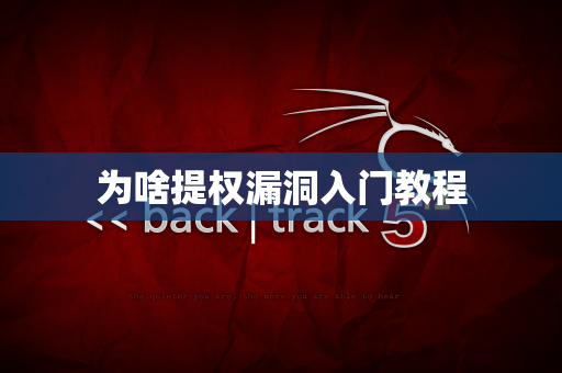 为啥提权漏洞入门教程