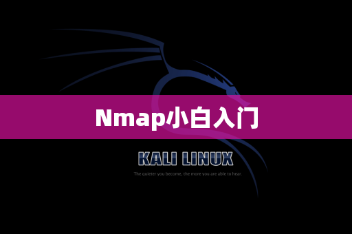 Nmap小白入门
