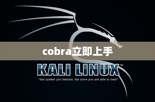 cobra立即上手