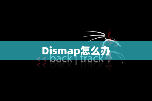 Dismap怎么办