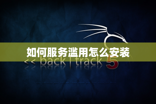 如何服务滥用怎么安装