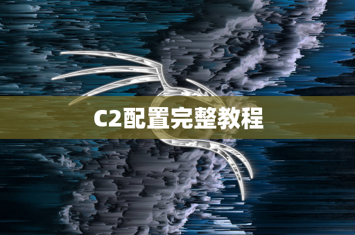 C2配置完整教程
