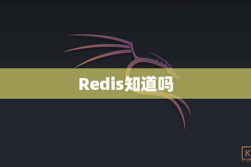 Redis知道吗