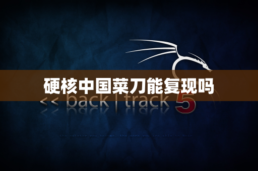 硬核中国菜刀能复现吗