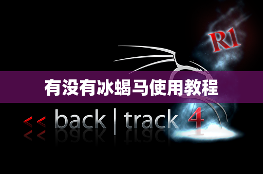 有没有冰蝎马使用教程