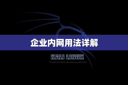 企业内网用法详解