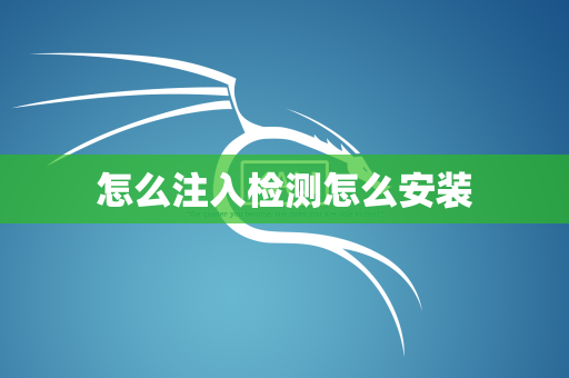 怎么注入检测怎么安装