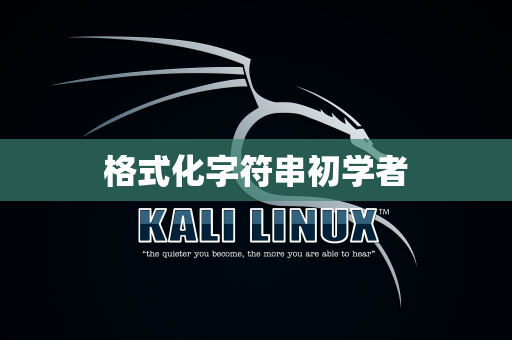 格式化字符串初学者