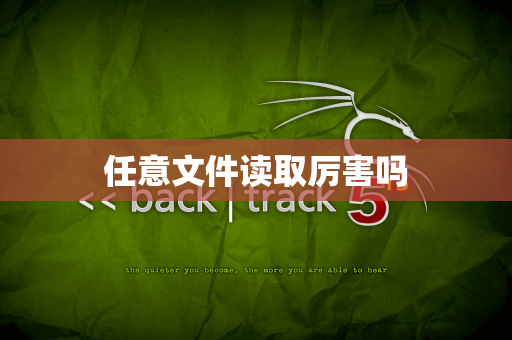 任意文件读取厉害吗