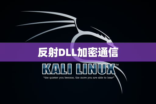 反射DLL加密通信