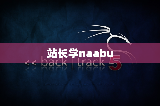 站长学naabu