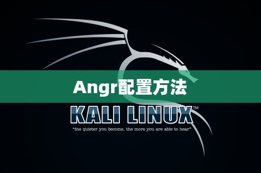 Angr配置方法