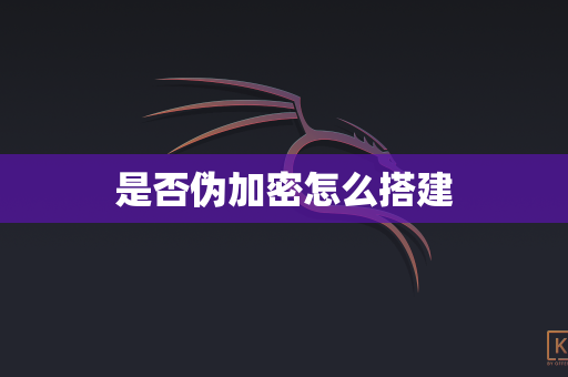 是否伪加密怎么搭建