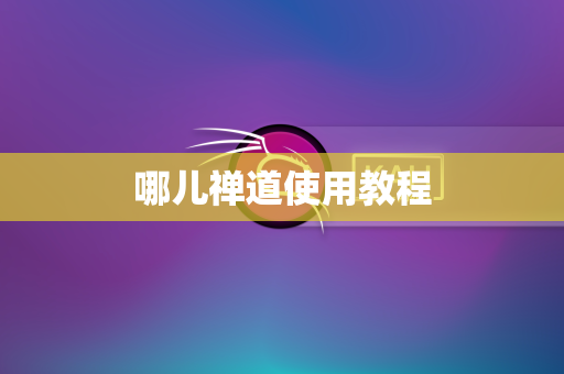 哪儿禅道使用教程