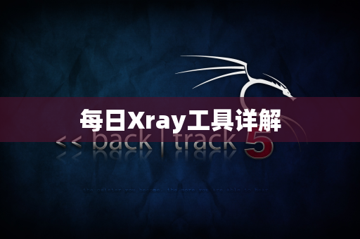 每日Xray工具详解