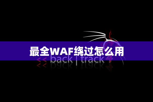 最全WAF绕过怎么用