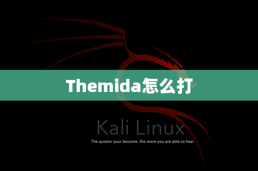 Themida怎么打