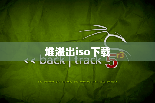 堆溢出iso下载