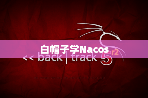白帽子学Nacos