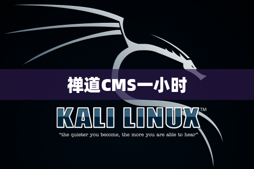 禅道CMS一小时