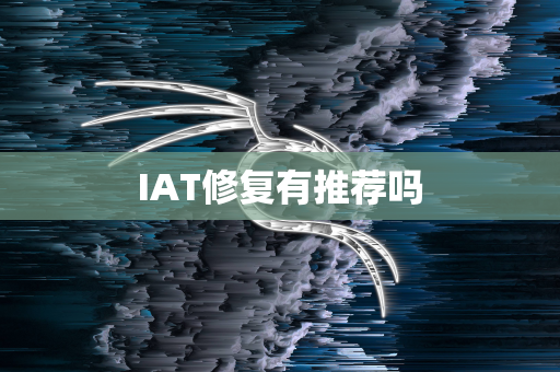 IAT修复有推荐吗