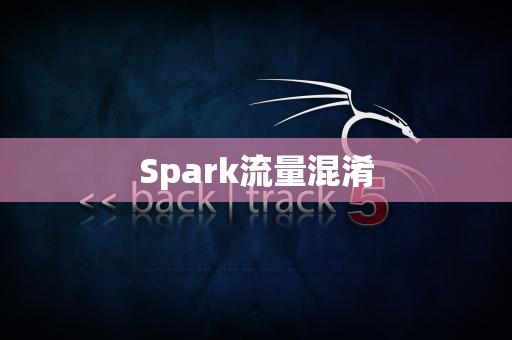 Spark流量混淆