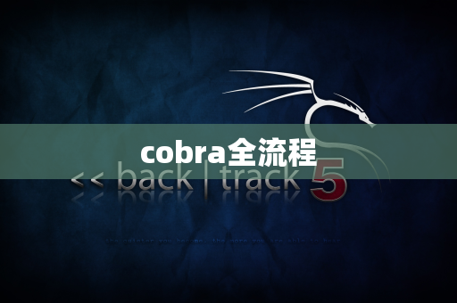 cobra全流程