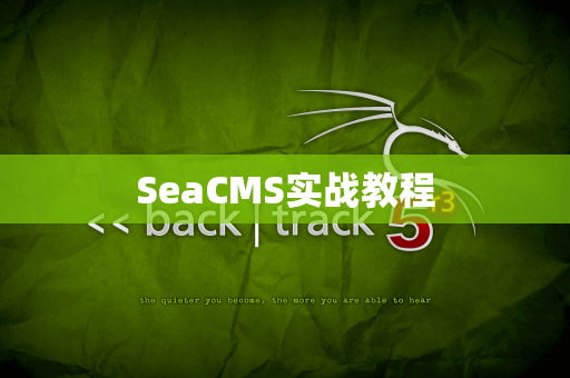 SeaCMS实战教程