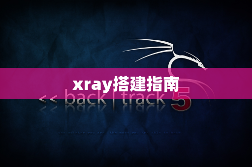 xray搭建指南